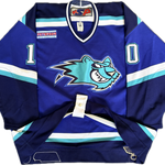 Worcester Ice Cats AHL Game Worn Hockey Jersey (56)