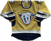 Vintage Nashville Predators NHL Hockey Jersey (M)