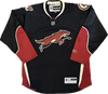 Phoenix Coyotes NHL Hockey Jersey (M)