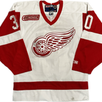 Vintage Detroit Red Wings NHL Hockey Jersey (S)
