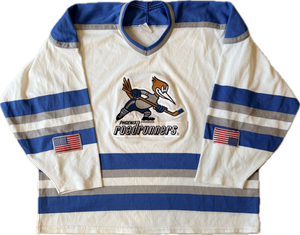 Vintage Pheonix Roadrunners AHL Hockey Jersey (L)