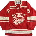 Detroit Red Wings NHL Hockey Jersey (M)