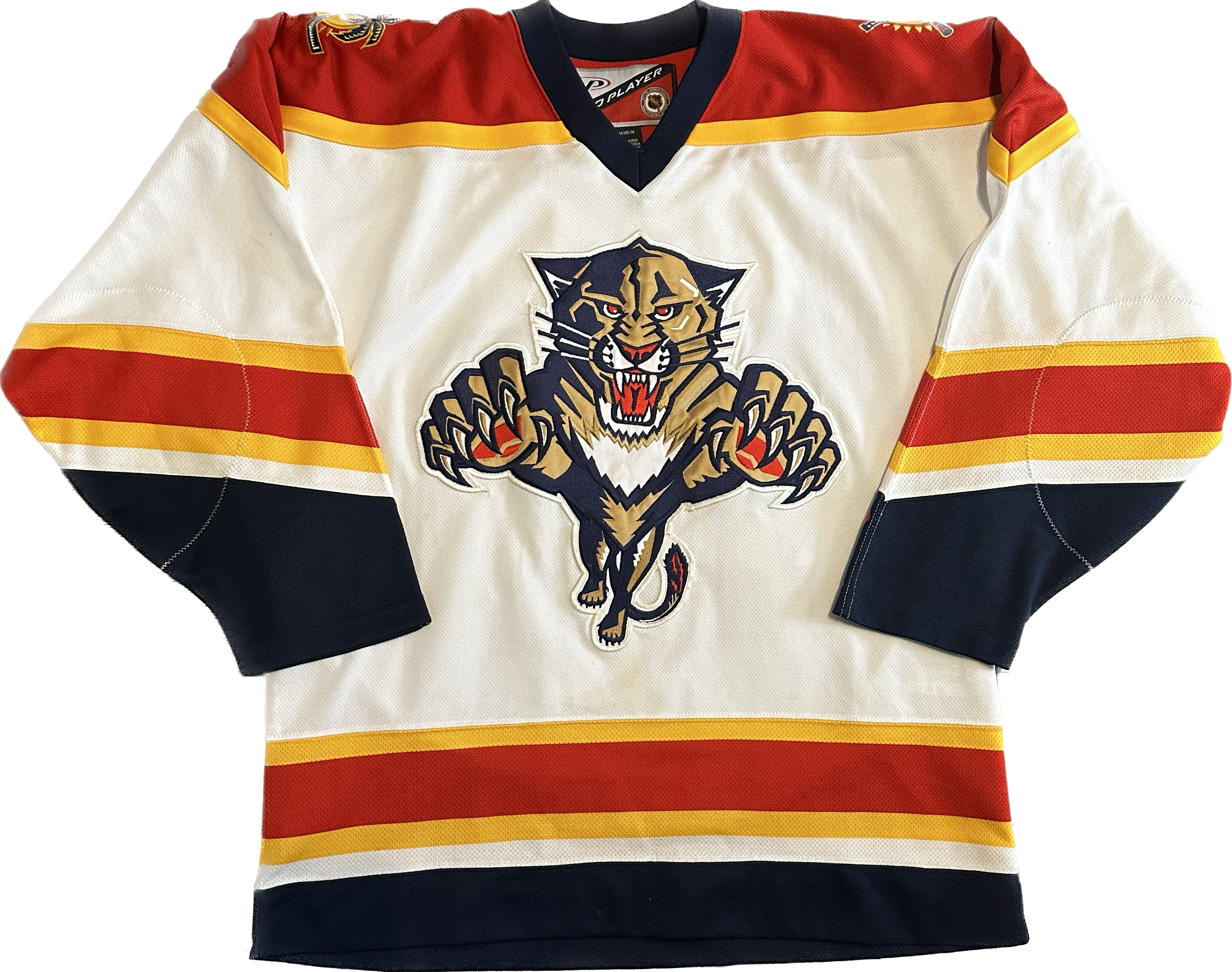 Vintage Florida Panthers NHL Hockey Jersey (L)