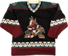 Vintage Phoenix Coyotes NHL Hockey Jersey (M)