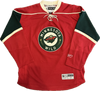 Minnesota Wild NHL Hockey Jersey (M)