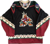 Vintage Phoenix Coyotes NHL Hockey Jersey (L)