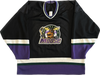Vintage Minnesota Moose IHL Hockey Jersey (XXL)