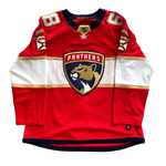 Florida Panthers NHL Hockey Jersey (54)