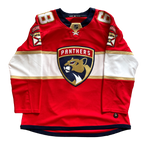 Fl sales panthers jersey