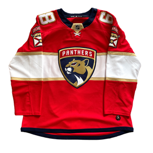 Florida Panthers NHL Hockey Jersey (54)