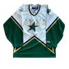 Vintage Dallas Stars NHL Hockey Jersey (M)